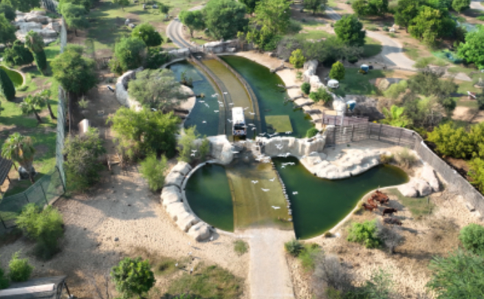 دبي سفاري بارك تستقبل الزوار في موسمها الجديد ابتداءً من 1 أكتوبر